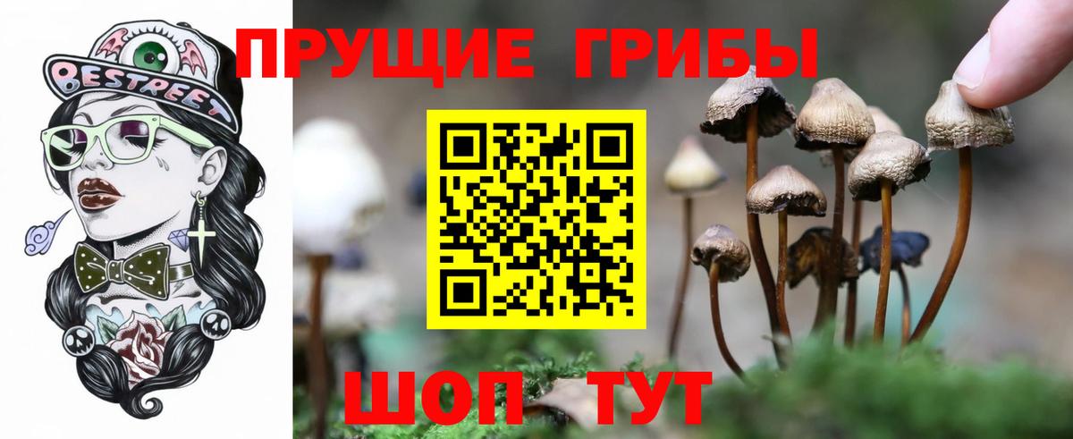Галлюциногенные грибы Psilocybine cubensis  Вход с VPN  Псилоцибиновые грибы ЛСД  Дубна 
